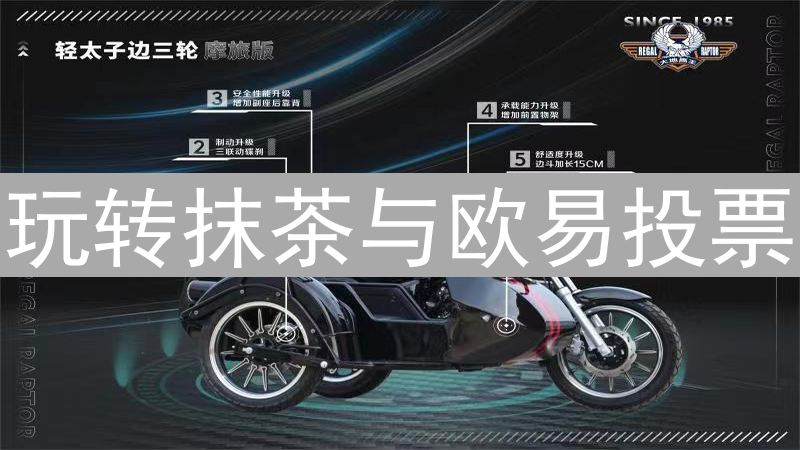 玩转抹茶与欧易投票：参与加密货币社区治理指南