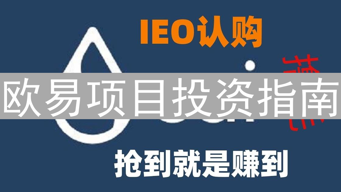 欧易项目投资指南：挖掘加密货币新星潜力