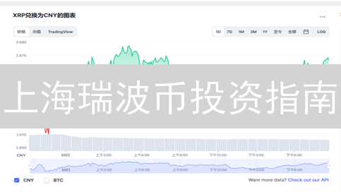 上海瑞波币投资指南：数字金融新路径探索