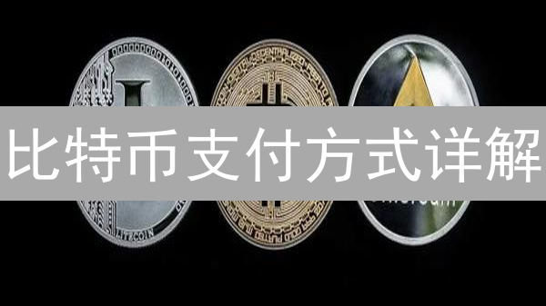 比特币支付方式详解：链上交易、闪电网络及适用场景分析