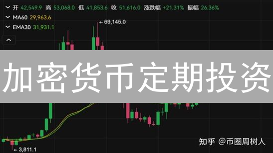 加密货币定期投资：风险评估与应对策略分析