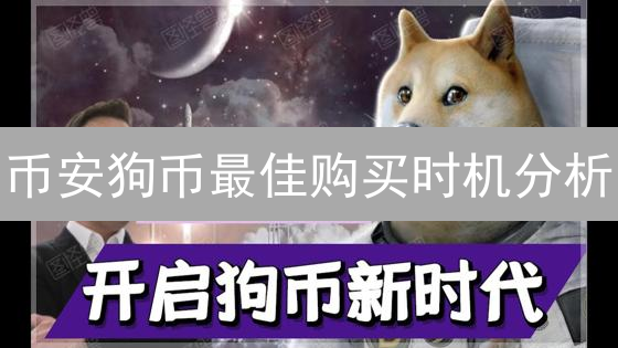 币安狗币最佳购买时机分析：策略与风险