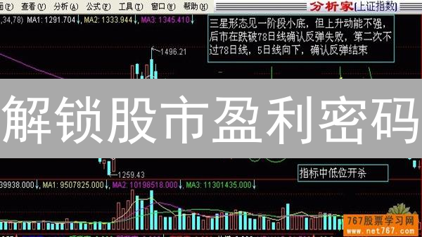 解锁股市盈利密码：技术分析与基本面结合的终极指南