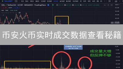 币安火币实时成交数据查看秘籍：掌握交易先机！