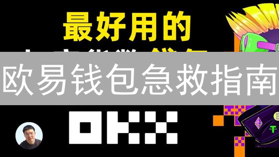 欧易钱包急救指南：助记词丢失？资产找回实战策略！
