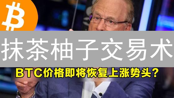 抹茶柚子交易术：稳健盈利的加密货币炼金术？