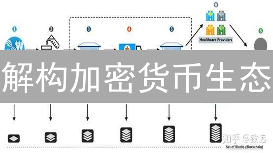 解构加密货币生态：掘金未来，避开雷区！