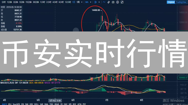 币安实时行情：新手老手必备！3招掌握价格脉搏，交易快人一步！