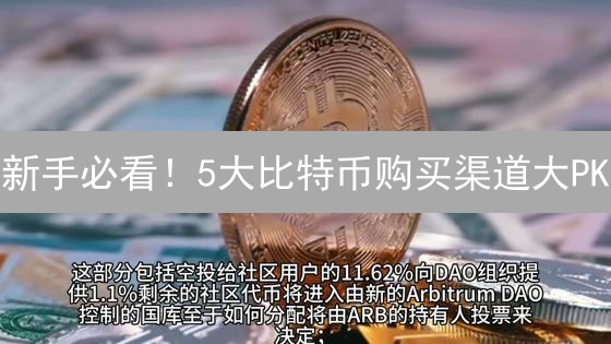 新手必看！5大比特币购买渠道大PK：选哪个才能躺赢？