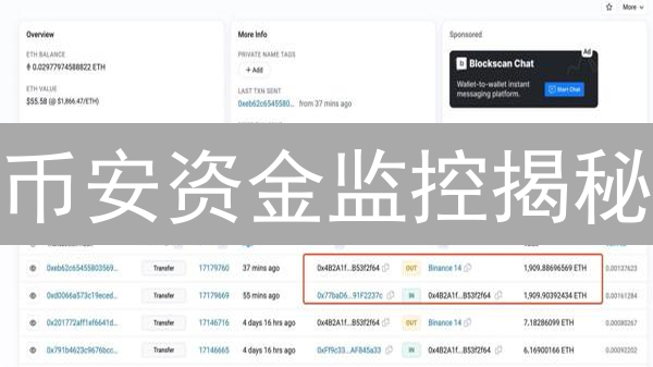 币安资金监控揭秘：AI如何守护你的数字资产？