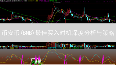 币安币(BNB)最佳买入时机深度分析与策略