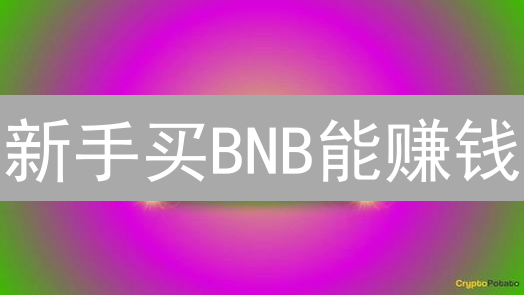 新手买BNB能赚钱？币安币投资指南：风险与机遇全解析