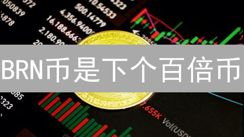 BRN币是下个百倍币？揭秘其技术、应用与风险！