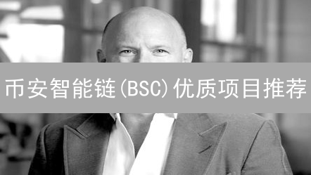 币安智能链(BSC)优质项目推荐：DeFi、NFT、GameFi精选