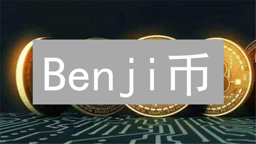 Benji币：下一个百倍币？深度解析长期持有的机会与风险！