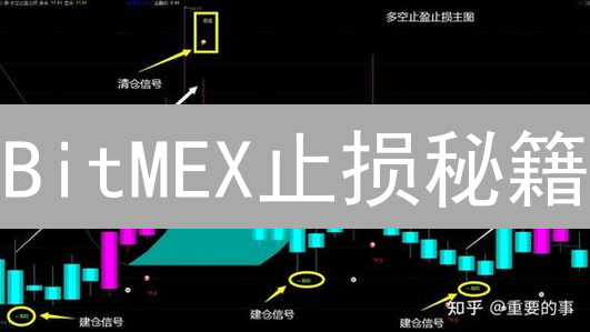 BitMEX止损秘籍：高杠杆交易，告别爆仓风险！