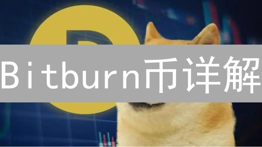 Bitburn币详解：定义、机制与未来发展前景分析