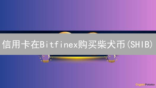 信用卡在Bitfinex购买柴犬币(SHIB)？这7个坑你必须知道！