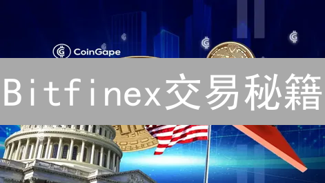 Bitfinex交易秘籍：参数设置全攻略，新手也能玩转!