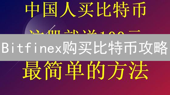 Bitfinex购买比特币攻略：渠道、步骤与风险揭秘！