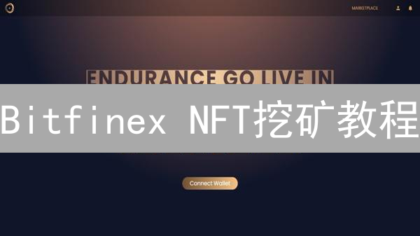 Bitfinex NFT挖矿教程：新手也能轻松上手？