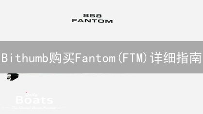 Bithumb购买Fantom(FTM)详细指南：注册、验证与交易流程