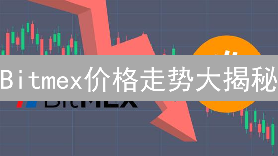 Bitmex价格走势大揭秘：如何抓住市场脉搏？
