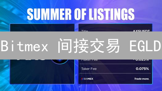 Bitmex 间接交易 EGLD？操作指南与风险全解析！