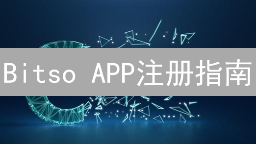 Bitso APP注册指南：新手也能轻松上手？速看！