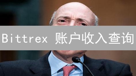 Bittrex 账户收入查询：避坑指南与盈利分析！