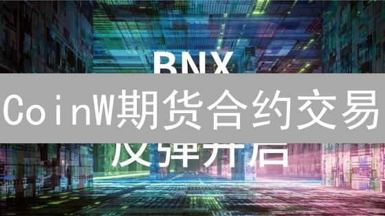 CoinW期货合约交易：策略、风险控制与机制详解