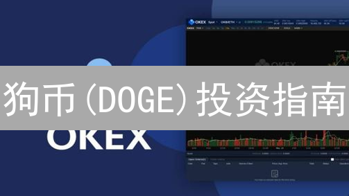 狗币(DOGE)投资指南：OKX交易平台全攻略，新手必看！