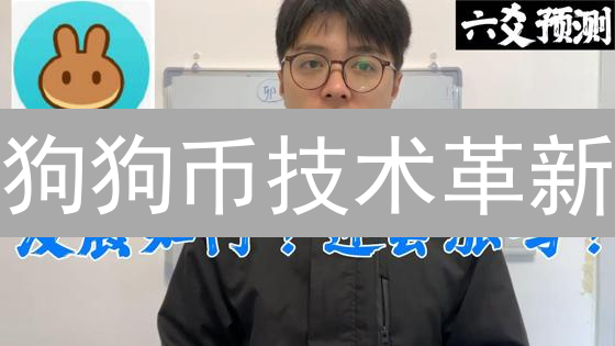 狗狗币技术革新：DeFi桥梁搭建与未来展望，值得关注？