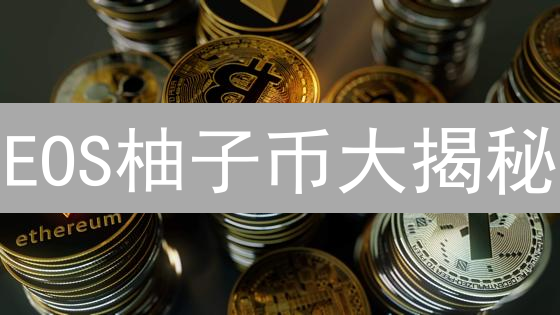 EOS柚子币大揭秘：是潜力股还是明日黄花？