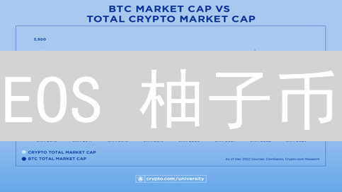 EOS 柚子币：新手入门指南，5分钟搞懂EOS是什么？怎么用？前景如何？