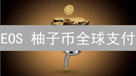 EOS 柚子币全球支付？深度解析：技术优势与挑战并存！