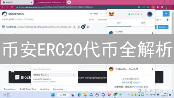 币安ERC20代币全解析：新手避坑指南与投资策略