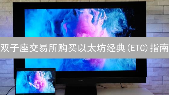 双子座交易所购买以太坊经典(ETC)指南：详细步骤解析