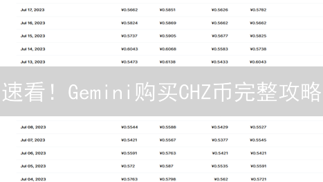 速看！Gemini购买CHZ币完整攻略：3分钟搞定！