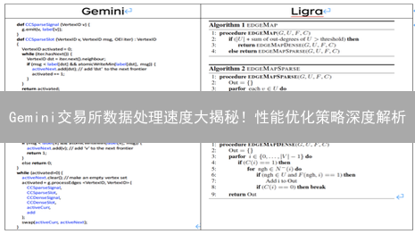 Gemini交易所数据处理速度大揭秘！性能优化策略深度解析