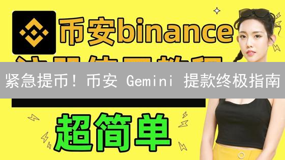 紧急提币！币安 Gemini 提款终极指南：新手也能秒懂！