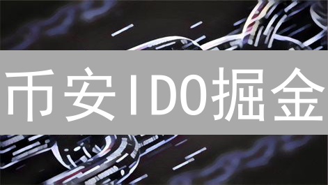 币安IDO掘金：新手必看！抓住暴富机会的秘籍