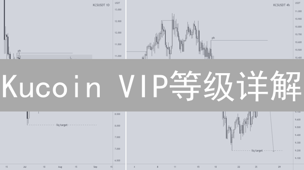 Kucoin VIP等级详解：高效加密货币交易的进阶之路