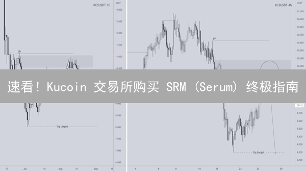 速看！Kucoin 交易所购买 SRM (Serum) 终极指南