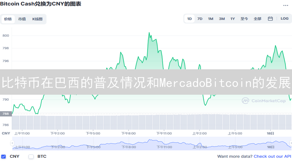 比特币在巴西的普及情况和MercadoBitcoin的发展