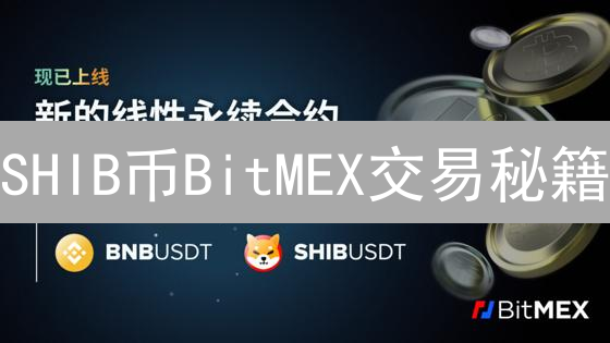 SHIB币BitMEX交易秘籍：高收益背后的风险？新手必看！