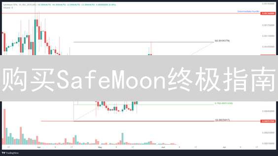 购买SafeMoon终极指南：还在寻找靠谱购买地？