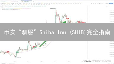 币安“驯服”Shiba Inu (SHIB)完全指南：新手也能轻松上手！