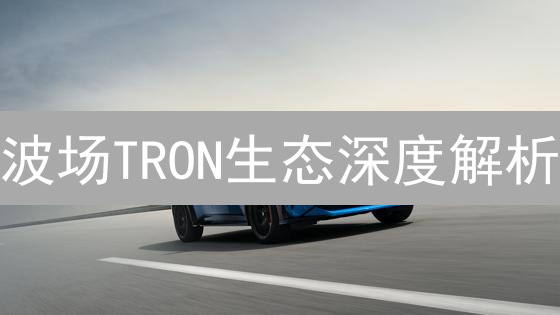 波场TRON生态深度解析：超越白皮书的视角，探索未来加密世界