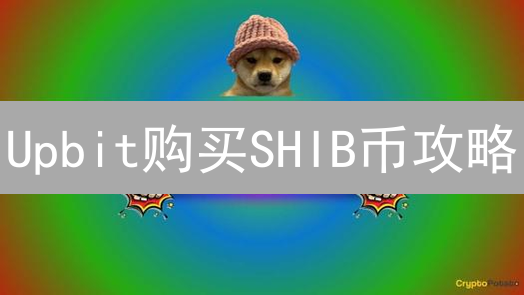 Upbit购买SHIB币攻略：韩元间接购买方法详解！风险与替代方案分析